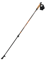 Birki Nordic Walking Stöcke "CARBON LITE 2" 500