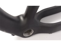 Germina 29er CF Rahmen