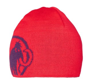 Mammut Mütze Logo Beanie