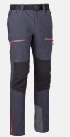 whales grey black